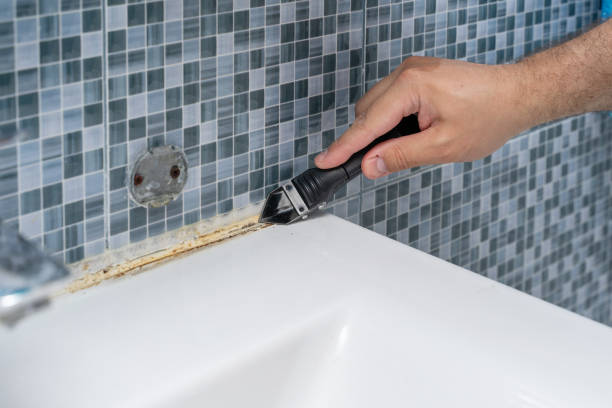 Best Office Mold Removal Services  in New Lisbon, WI